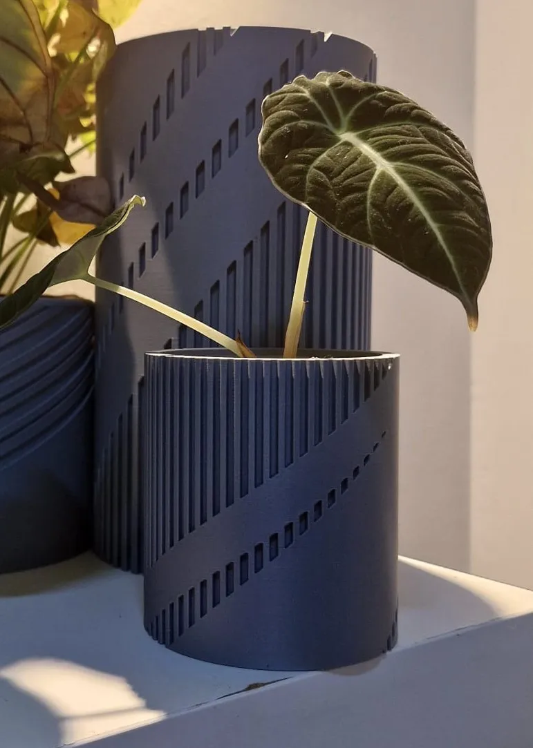 Maceta Moderna - Diseño Contemporáneo para Decoración